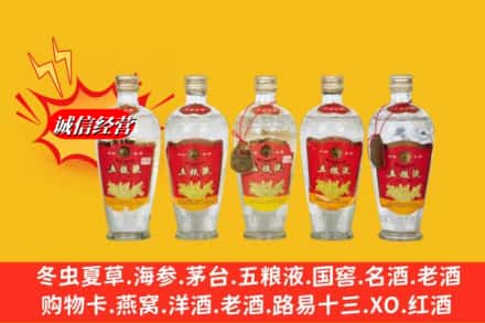 新会区名酒回收老五粮液.jpg