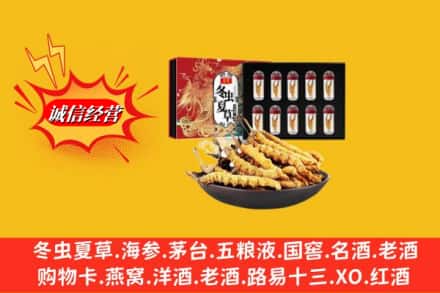 新会区回收冬虫夏草